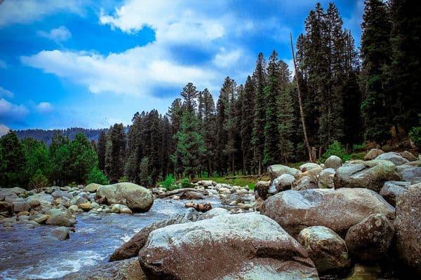 IMG_0376_2 IMG_0376_2