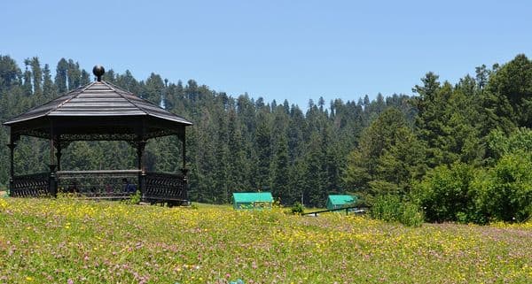 Yusmarg, Kashmir. Yusmarg, Kashmir.