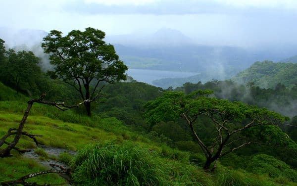 Nelliampathy Photo 2 Nelliampathy Photo 2