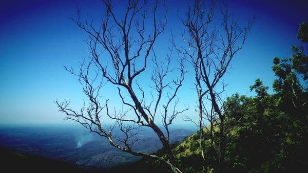 Ponmudi Photo 0 Ponmudi Photo 0