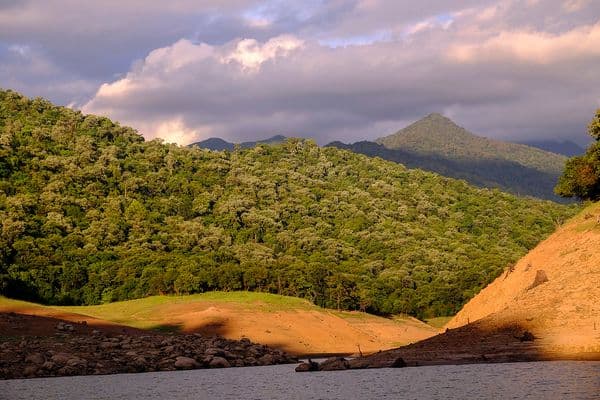 Shendurney Wildlife Sanctuary Photo 0 Shendurney Wildlife Sanctuary Photo 0