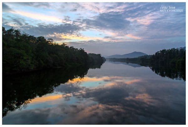 Thattekad Bird Sanctuary (Salim Ali Bird Sanctuary) Photo 0 Thattekad Bird Sanctuary (Salim Ali Bird Sanctuary) Photo 0