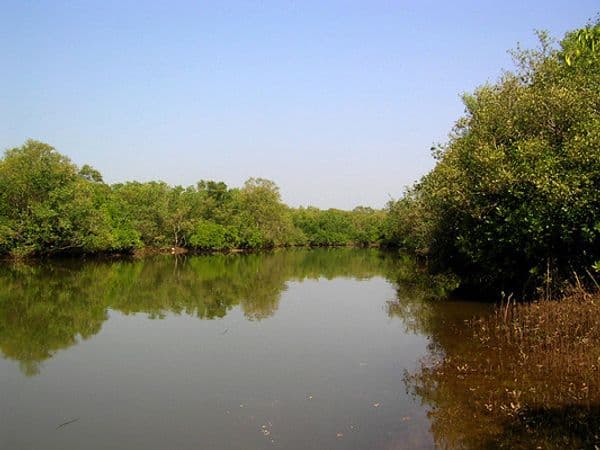 Thattekad Bird Sanctuary (Salim Ali Bird Sanctuary) Photo 2 Thattekad Bird Sanctuary (Salim Ali Bird Sanctuary) Photo 2