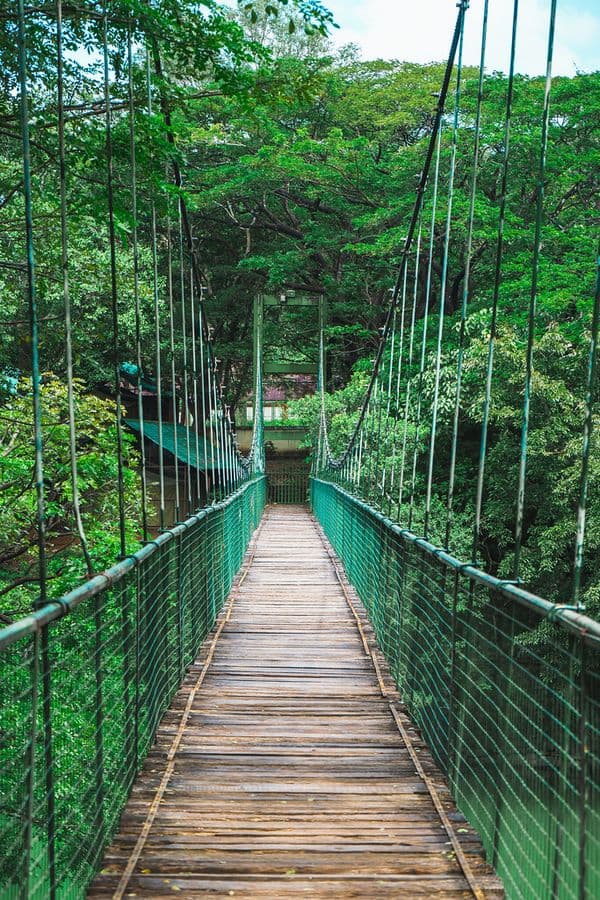 Thenmala Photo 2 Thenmala Photo 2