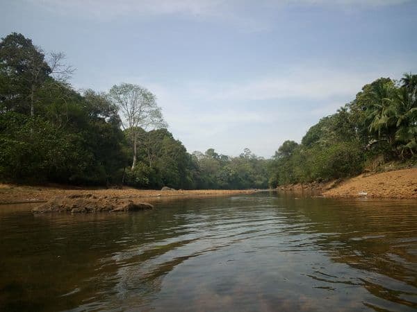 Thenmala Photo 3 Thenmala Photo 3