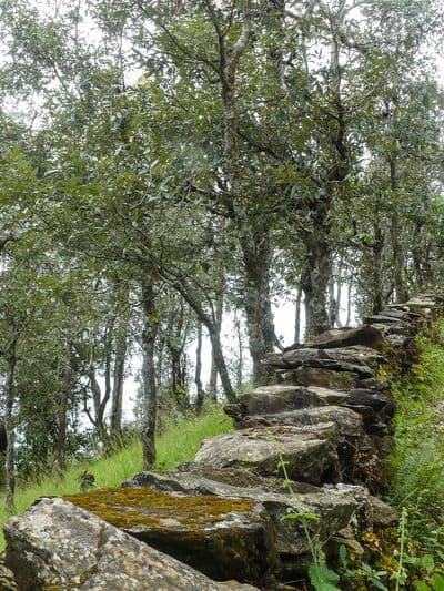 Abbott Mount Abbott Mount