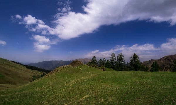 Ali Bugyal Photo 0 Ali Bugyal Photo 0