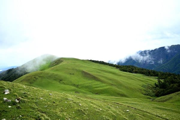 Ali Bugyal Photo 1 Ali Bugyal Photo 1