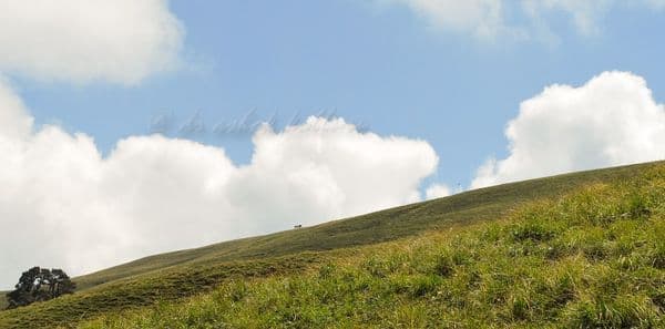 Ali Bugyal Photo 2 Ali Bugyal Photo 2