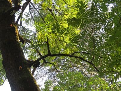 Benog Wildlife Sanctuary Benog Wildlife Sanctuary