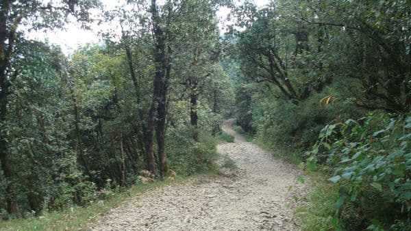 Binsar Wildlife Sanctuary Photo 2 Binsar Wildlife Sanctuary Photo 2