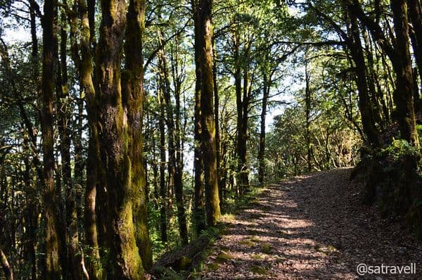 Binsar Wildlife Sanctuary Photo 3 Binsar Wildlife Sanctuary Photo 3