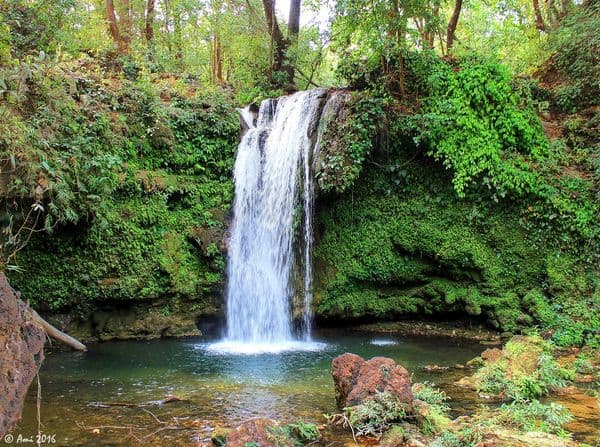 Corbett Falls Photo 1 Corbett Falls Photo 1