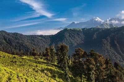 Dayara Bugyal Dayara Bugyal