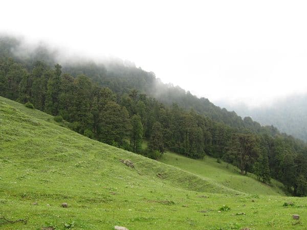 Dayara Bugyal Photo 1 Dayara Bugyal Photo 1