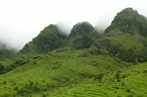 Deoban Forest Photo 2 Deoban Forest Photo 2