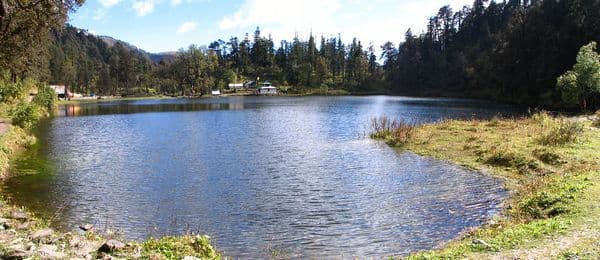 Dodital Photo 1 Dodital Photo 1