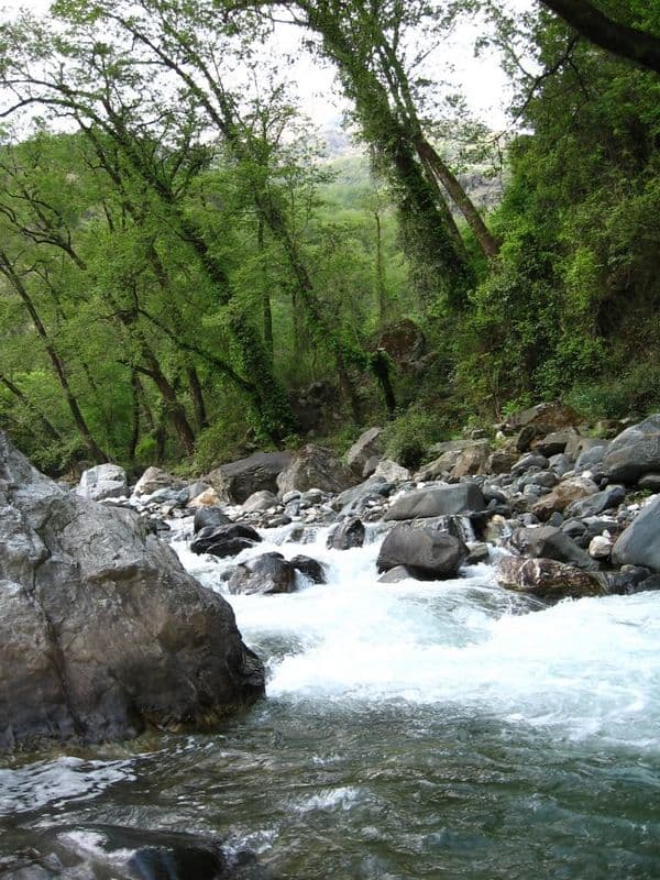 Dodital Photo 2 Dodital Photo 2