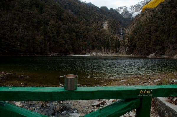 Dodital Photo 3 Dodital Photo 3