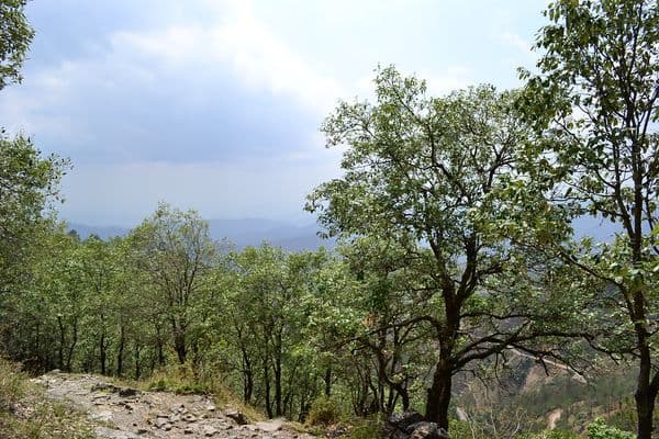 Garhwal Photo 2 Garhwal Photo 2