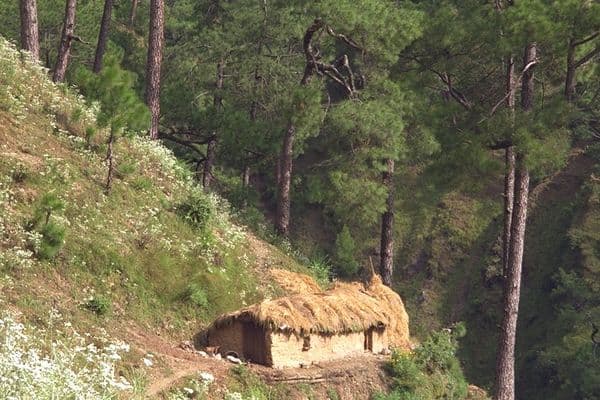 Garhwal Photo 6 Garhwal Photo 6