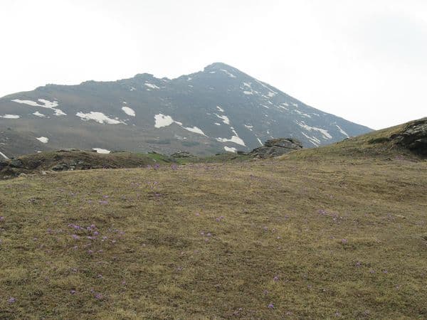 Kedarkantha Photo 2 Kedarkantha Photo 2