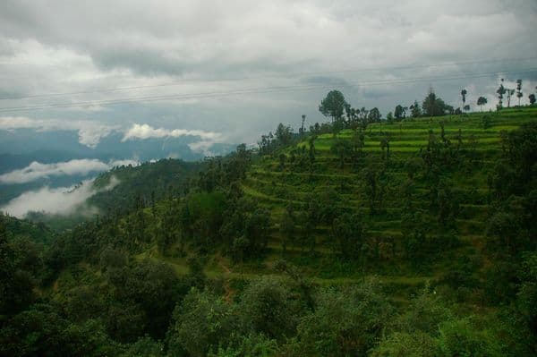 Khirsu Photo 4 Khirsu Photo 4