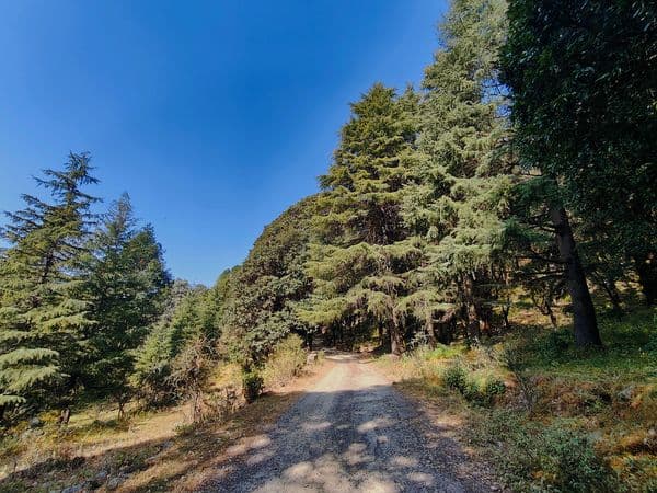 Pangot Photo 4 Pangot Photo 4