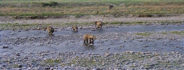 Sonanadi Wildlife Sanctuary Photo 3 Sonanadi Wildlife Sanctuary Photo 3