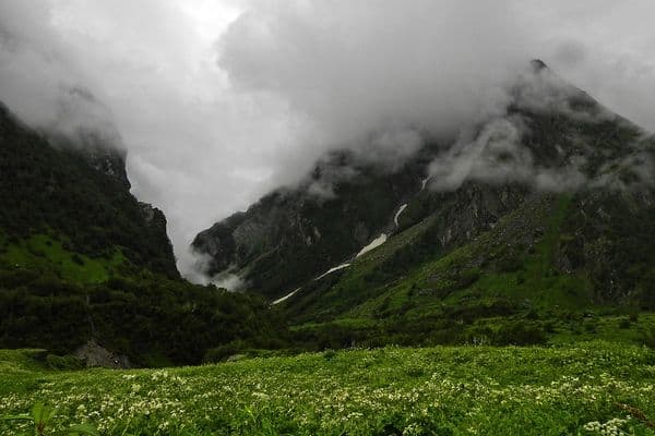 Valley of Flowers National Park Photo 0 Valley of Flowers National Park Photo 0